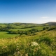 English countryside