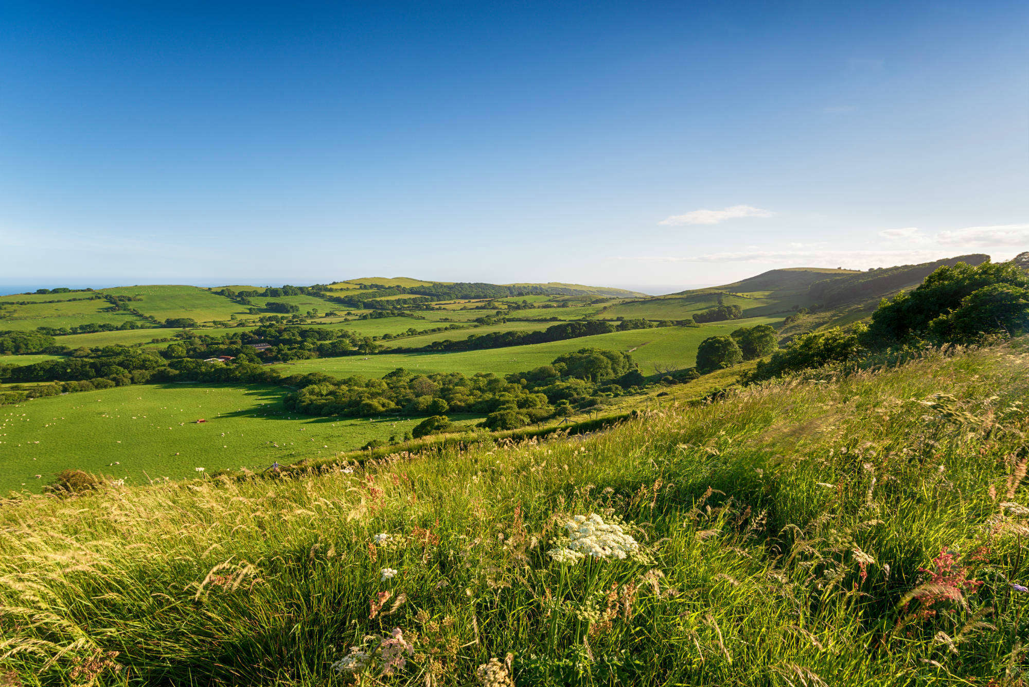 English countryside
